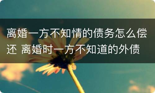 离婚一方不知情的债务怎么偿还 离婚时一方不知道的外债