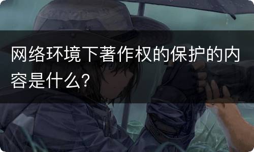 网络环境下著作权的保护的内容是什么？