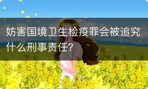 妨害国境卫生检疫罪会被追究什么刑事责任？