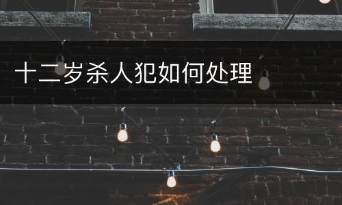 十二岁杀人犯如何处理
