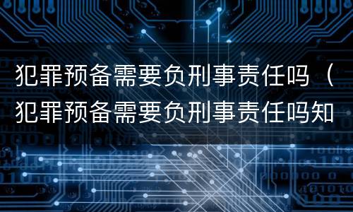 犯罪预备需要负刑事责任吗（犯罪预备需要负刑事责任吗知乎）