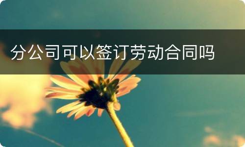 分公司可以签订劳动合同吗