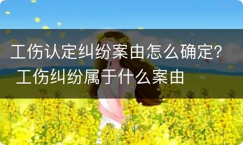 工伤认定纠纷案由怎么确定？ 工伤纠纷属于什么案由