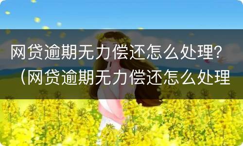网贷逾期无力偿还怎么处理？（网贷逾期无力偿还怎么处理最好）
