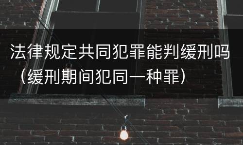 法律规定共同犯罪能判缓刑吗（缓刑期间犯同一种罪）