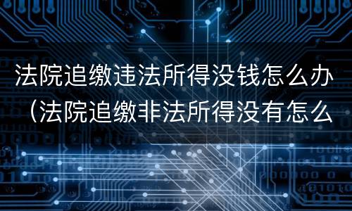 法院追缴违法所得没钱怎么办（法院追缴非法所得没有怎么办）
