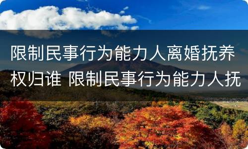 限制民事行为能力人离婚抚养权归谁 限制民事行为能力人抚养费