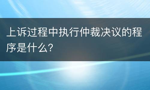 上诉过程中执行仲裁决议的程序是什么？