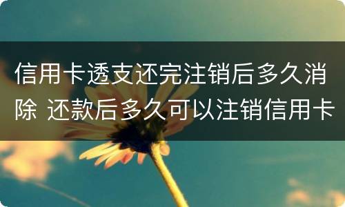 信用卡透支还完注销后多久消除 还款后多久可以注销信用卡