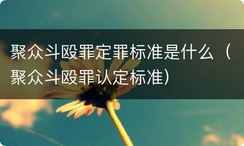 聚众斗殴罪定罪标准是什么（聚众斗殴罪认定标准）