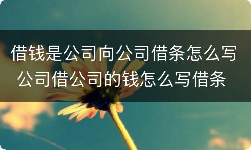 借钱是公司向公司借条怎么写 公司借公司的钱怎么写借条