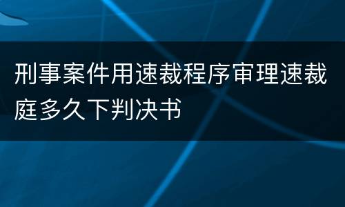 刑事案件用速裁程序审理速裁庭多久下判决书