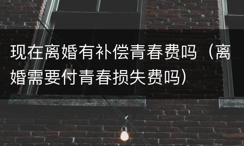 现在离婚有补偿青春费吗（离婚需要付青春损失费吗）