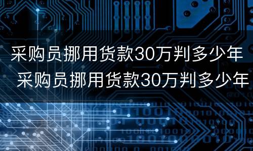 采购员挪用货款30万判多少年 采购员挪用货款30万判多少年刑期