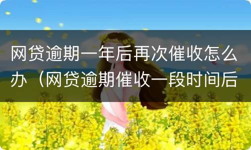网贷逾期一年后再次催收怎么办（网贷逾期催收一段时间后怎么不催了）