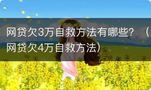 网贷欠3万自救方法有哪些？（网贷欠4万自救方法）