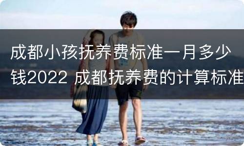 成都小孩抚养费标准一月多少钱2022 成都抚养费的计算标准是多少