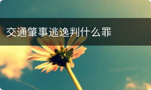 交通肇事逃逸判什么罪