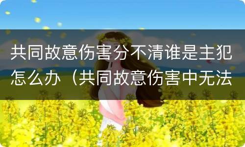 共同故意伤害分不清谁是主犯怎么办（共同故意伤害中无法确定伤害）