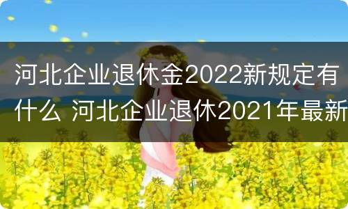 河北企业退休金2022新规定有什么 河北企业退休2021年最新消息