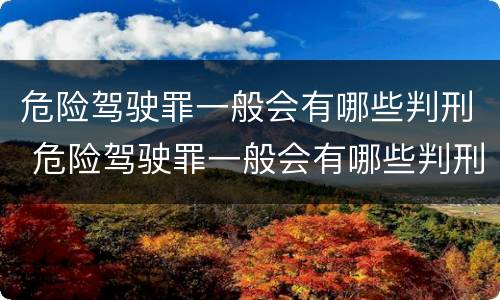 危险驾驶罪一般会有哪些判刑 危险驾驶罪一般会有哪些判刑案件