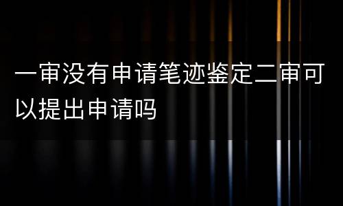 一审没有申请笔迹鉴定二审可以提出申请吗