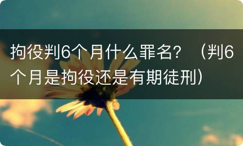 拘役判6个月什么罪名？（判6个月是拘役还是有期徒刑）