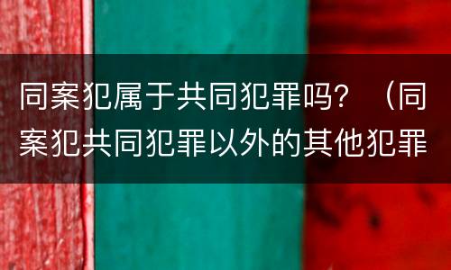 同案犯属于共同犯罪吗？（同案犯共同犯罪以外的其他犯罪）