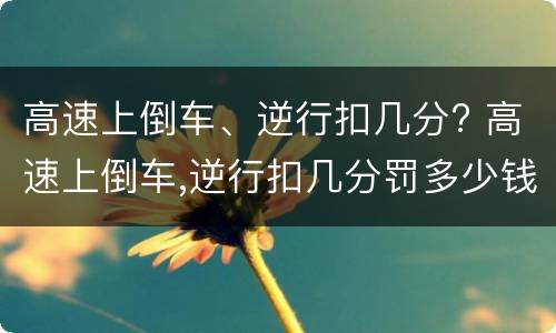 高速上倒车、逆行扣几分? 高速上倒车,逆行扣几分罚多少钱