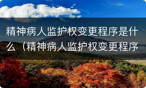 精神病人监护权变更程序是什么（精神病人监护权变更程序是什么法律）