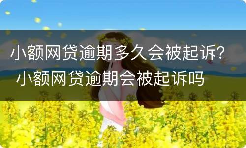 小额网贷逾期多久会被起诉？ 小额网贷逾期会被起诉吗