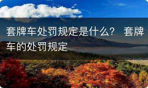 套牌车处罚规定是什么？ 套牌车的处罚规定