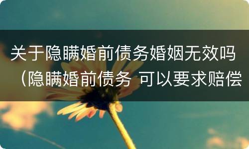 关于隐瞒婚前债务婚姻无效吗（隐瞒婚前债务 可以要求赔偿吗）