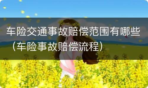 车险交通事故赔偿范围有哪些（车险事故赔偿流程）