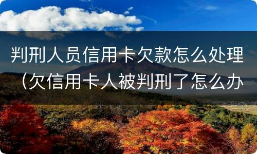判刑人员信用卡欠款怎么处理（欠信用卡人被判刑了怎么办）
