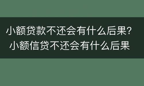小额贷款不还会有什么后果？ 小额信贷不还会有什么后果