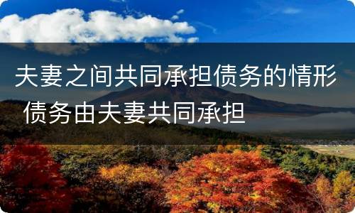 夫妻之间共同承担债务的情形 债务由夫妻共同承担