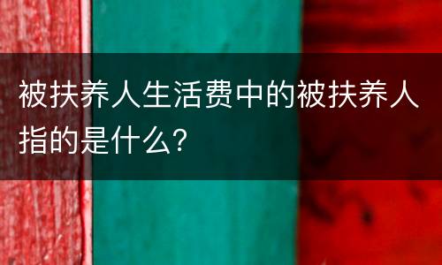 被扶养人生活费中的被扶养人指的是什么？