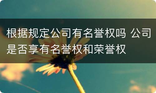 根据规定公司有名誉权吗 公司是否享有名誉权和荣誉权