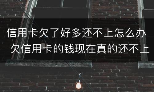 信用卡欠了好多还不上怎么办 欠信用卡的钱现在真的还不上怎么办
