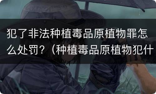 犯了非法种植毒品原植物罪怎么处罚?（种植毒品原植物犯什么罪）