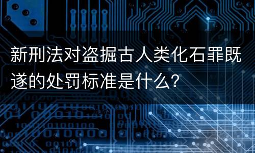 新刑法对盗掘古人类化石罪既遂的处罚标准是什么？
