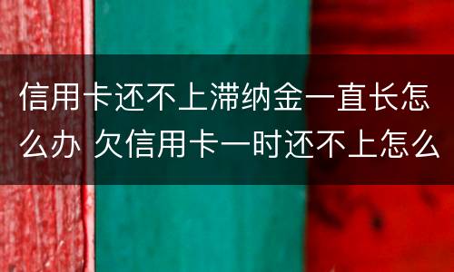 信用卡还不上滞纳金一直长怎么办 欠信用卡一时还不上怎么办