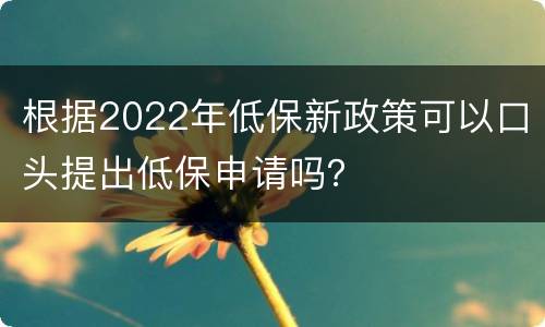 根据2022年低保新政策可以口头提出低保申请吗？