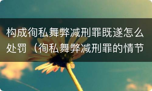 构成徇私舞弊减刑罪既遂怎么处罚（徇私舞弊减刑罪的情节严重）