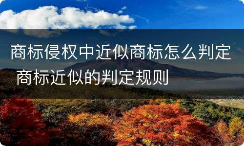 商标侵权中近似商标怎么判定 商标近似的判定规则