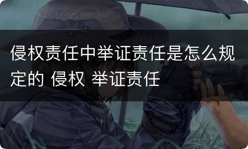 侵权责任中举证责任是怎么规定的 侵权 举证责任