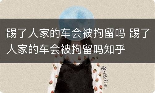 踢了人家的车会被拘留吗 踢了人家的车会被拘留吗知乎