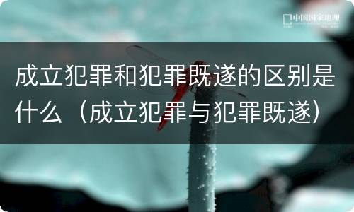 成立犯罪和犯罪既遂的区别是什么（成立犯罪与犯罪既遂）