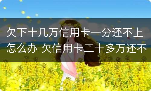 欠下十几万信用卡一分还不上怎么办 欠信用卡二十多万还不上怎么办